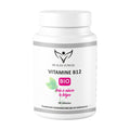 Health Power Vitamine B12 90 Comprimés