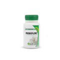 Mgd Probioflore Ferments Lactiques 60 Gélules