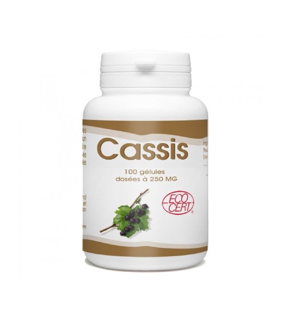 GPH Cassis 100 Gélules 250mg Confort Articulaire