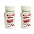 Pack Nutrilab deux pots de Lipofolic fer liposomal de 30 gélules