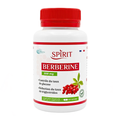 Spirit Berbérine 500mg 60 Gélules