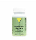 VITALL PLUS Boswellia Serrata Confort Articulaire 60 Gélules