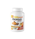 Prodisphar Propolis 60 Gélules Soutien Immunité