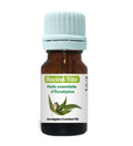 Racine Vita Huile Essentielle d'Eucalyptus Pur 10ml